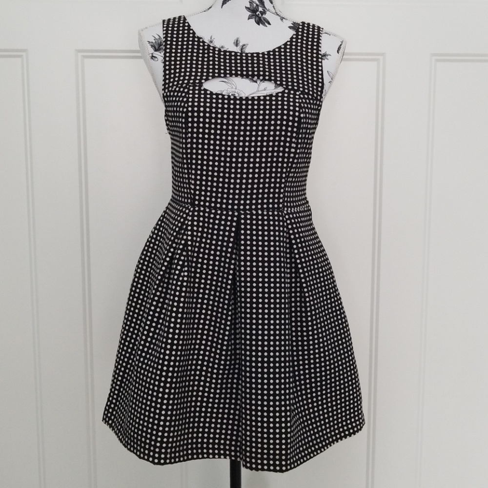 NWOT Fit and Flare Dress